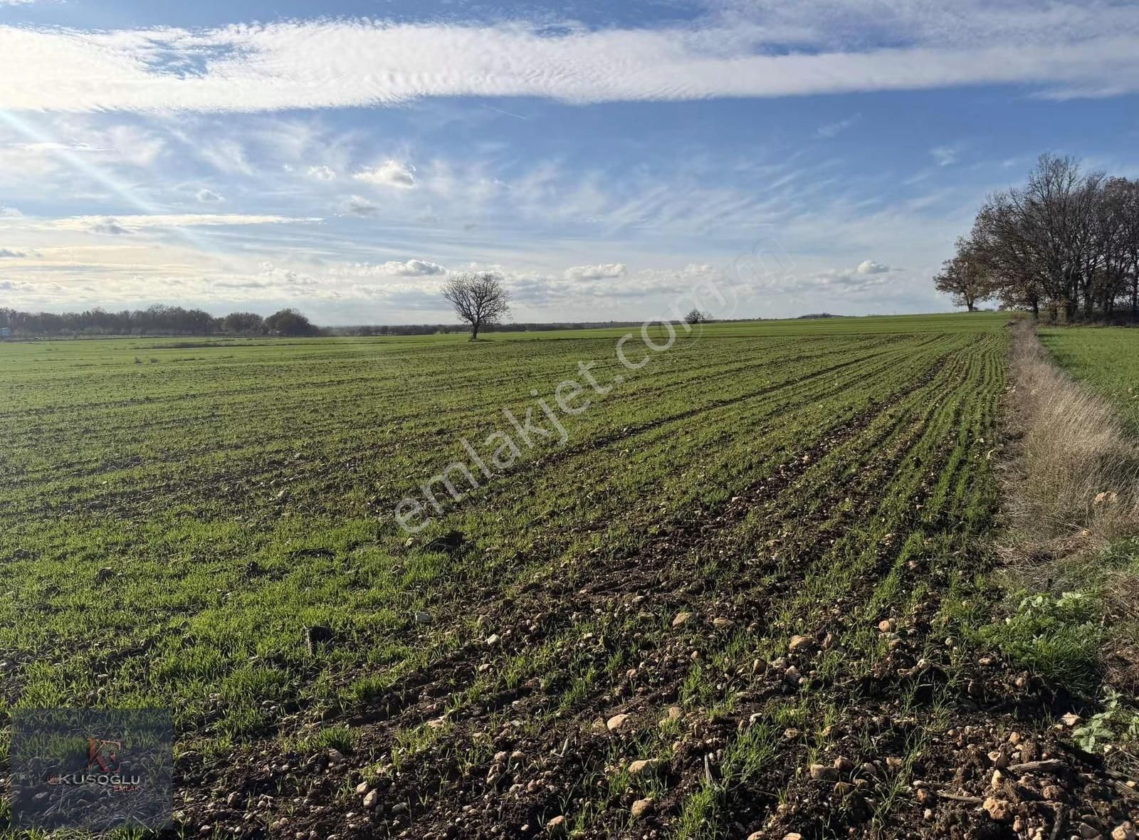 Vize Soğucak Köyünde Yola Cephe Satılık Tarla - Görsel 6