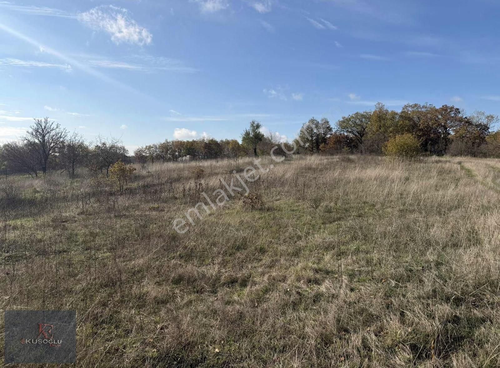 Vize Soğuçak Köyünde Yola Cephe Satılık Tarla - Görsel 33