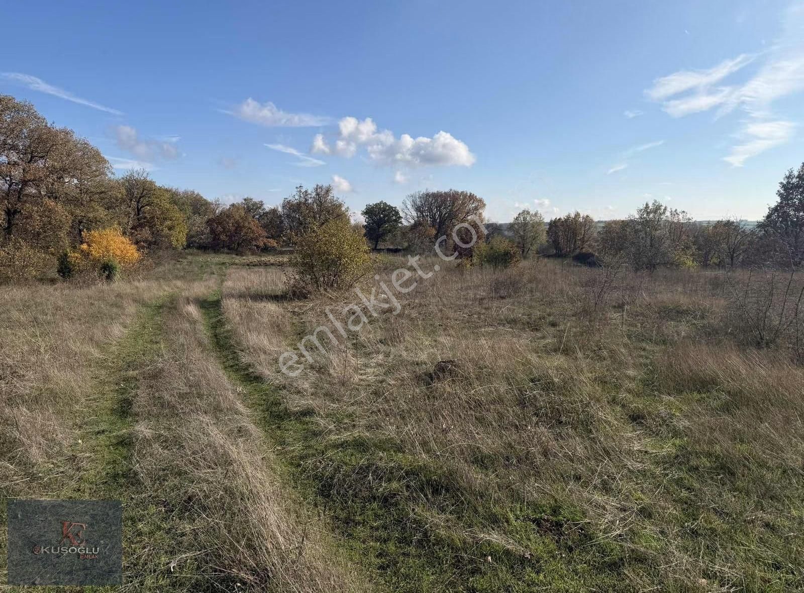 Vize Soğuçak Köyünde Yola Cephe Satılık Tarla - Görsel 17