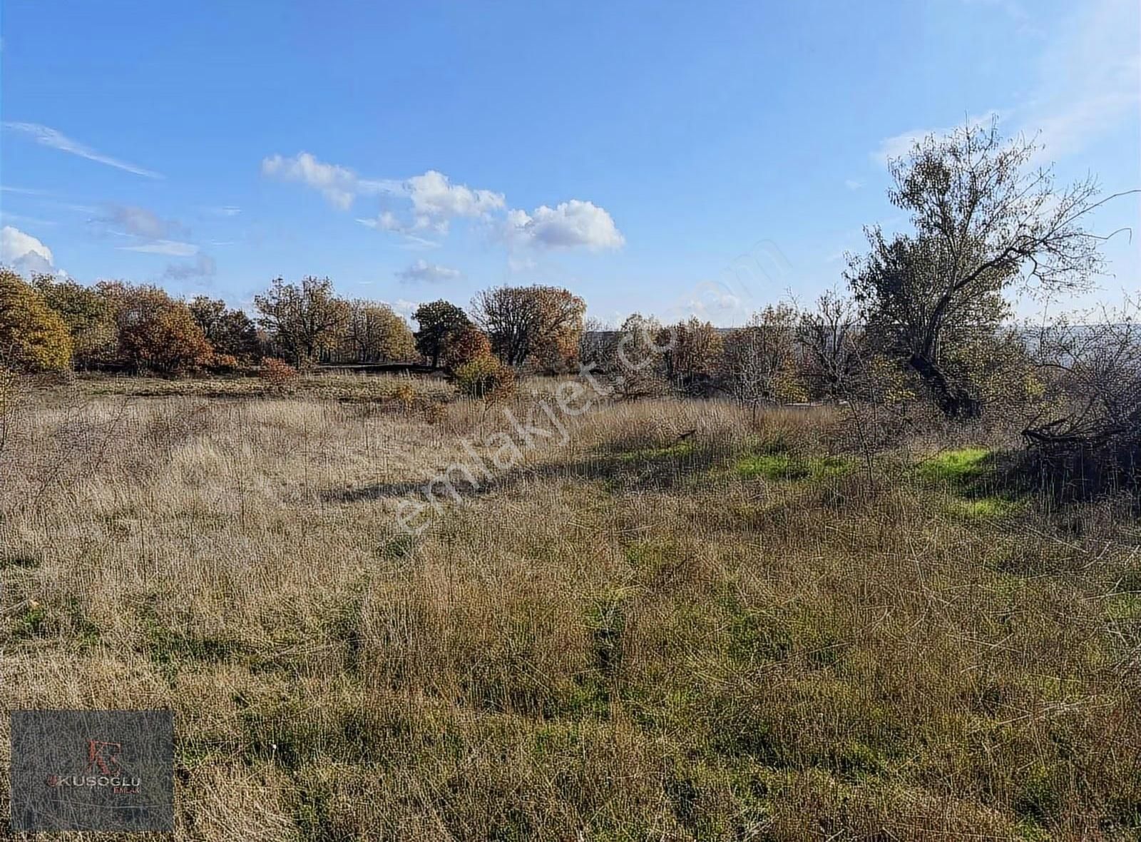 Vize Soğuçak Köyünde Yola Cephe Satılık Tarla - Görsel 12