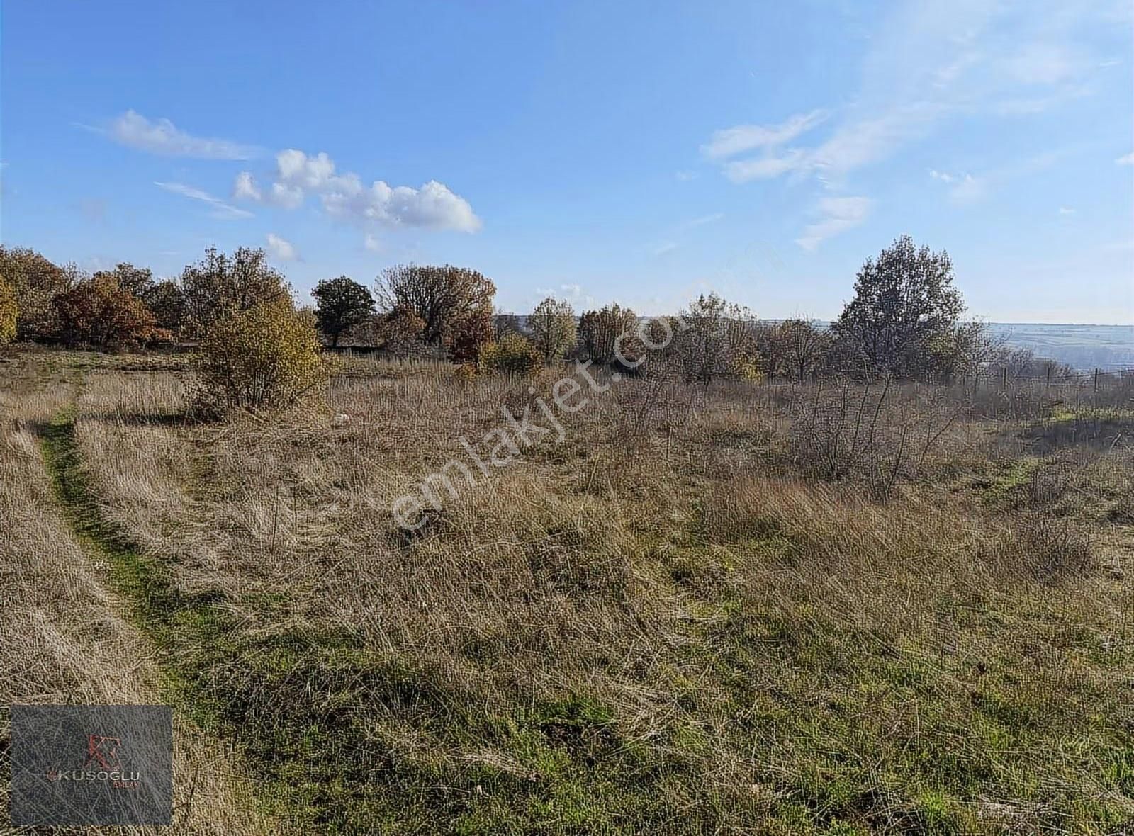 Vize Soğuçak Köyünde Yola Cephe Satılık Tarla - Görsel 19