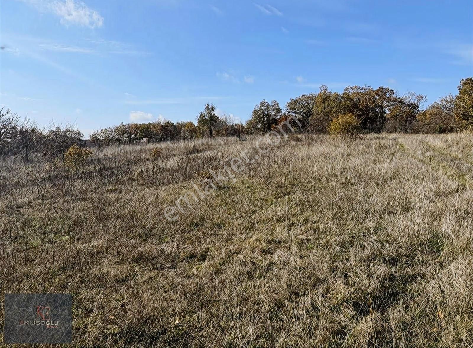 Vize Soğuçak Köyünde Yola Cephe Satılık Tarla - Görsel 15