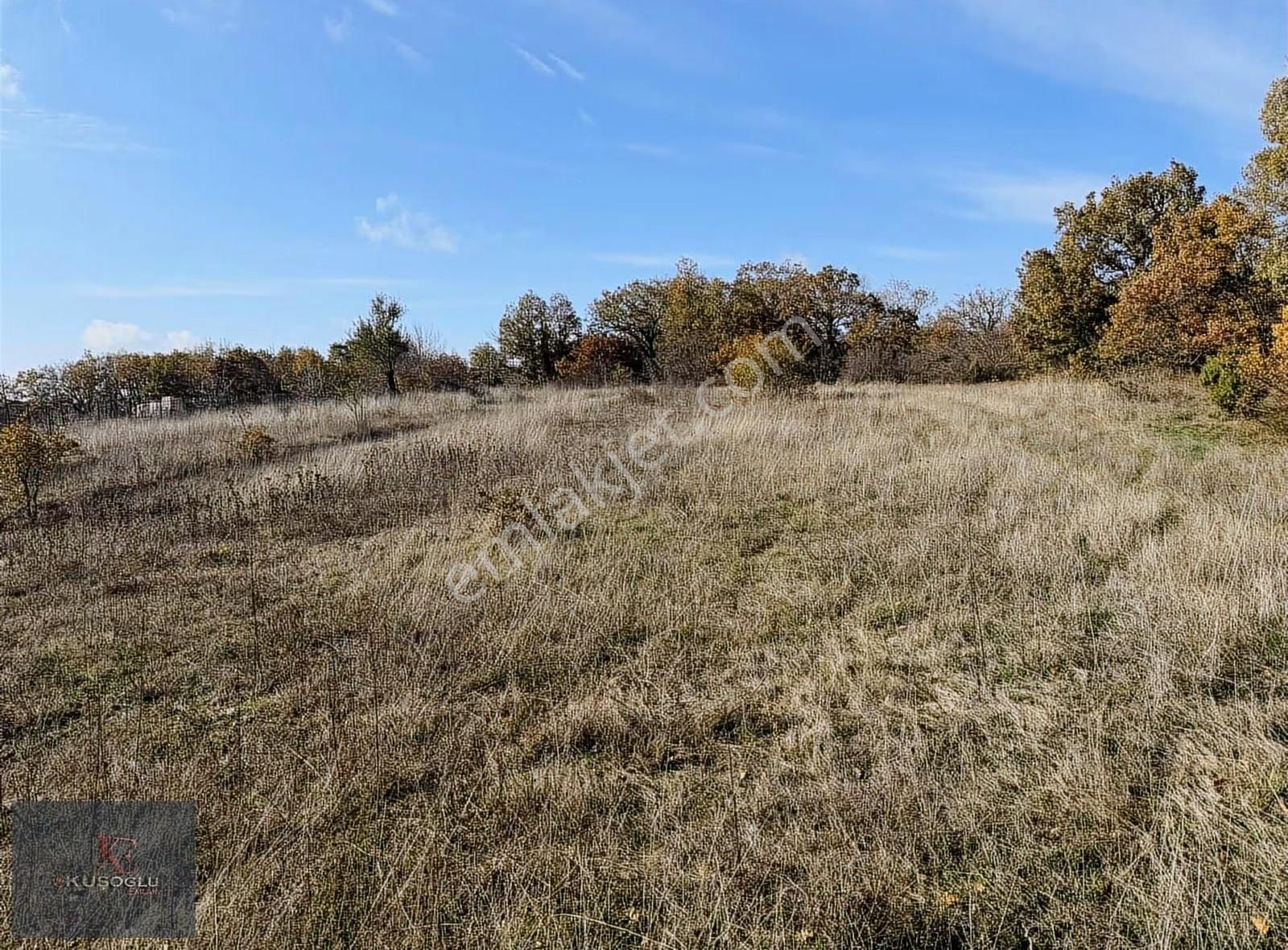 Vize Soğuçak Köyünde Yola Cephe Satılık Tarla - Görsel 24