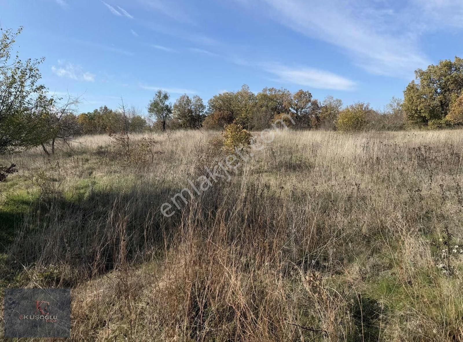 Vize Soğuçak Köyünde Yola Cephe Satılık Tarla - Görsel 13