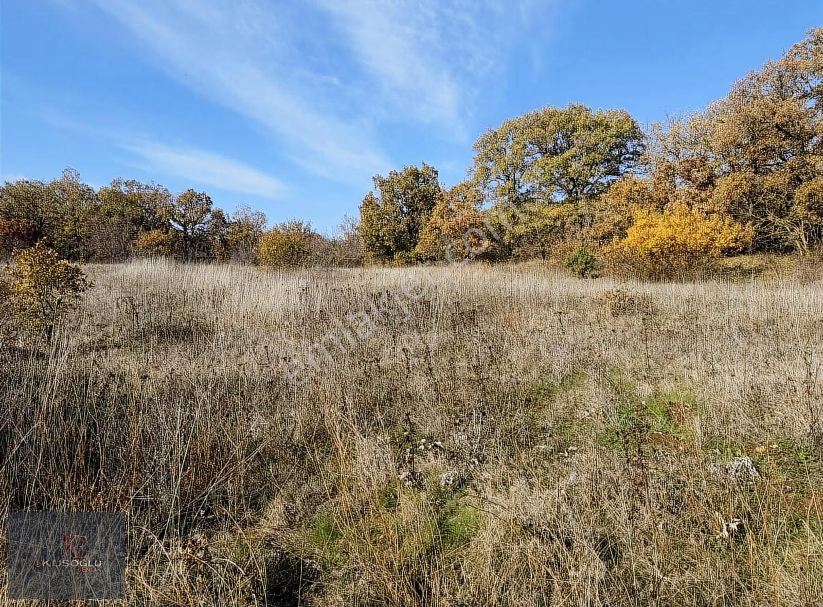 Vize Soğuçak Köyünde Yola Cephe Satılık Tarla - Görsel 6