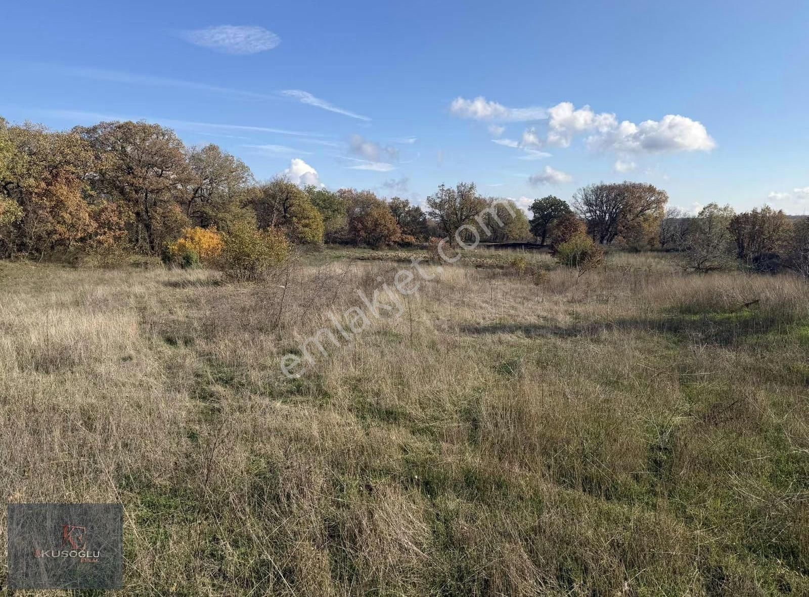 Vize Soğuçak Köyünde Yola Cephe Satılık Tarla - Görsel 21