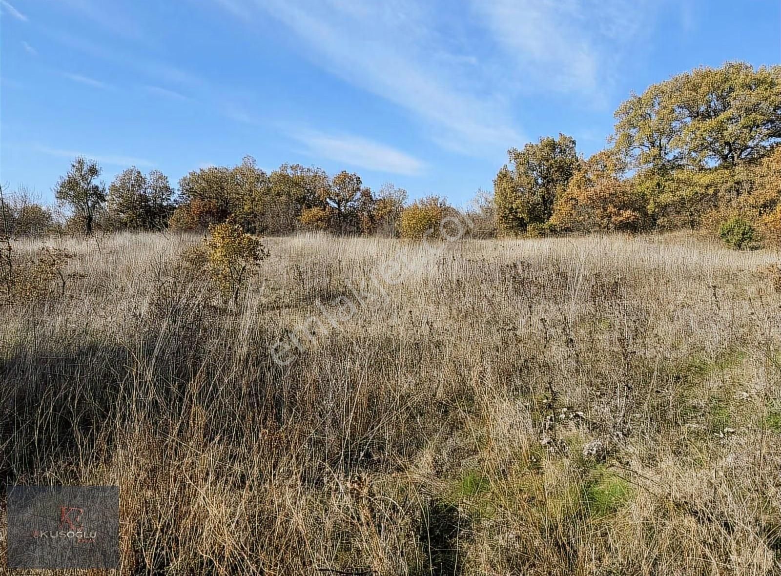 Vize Soğuçak Köyünde Yola Cephe Satılık Tarla - Görsel 3