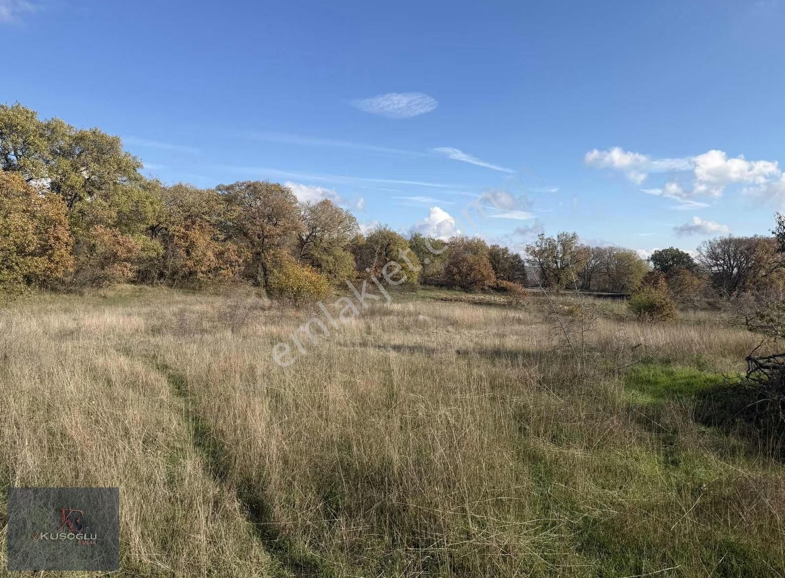 Vize Soğuçak Köyünde Yola Cephe Satılık Tarla - Görsel 9