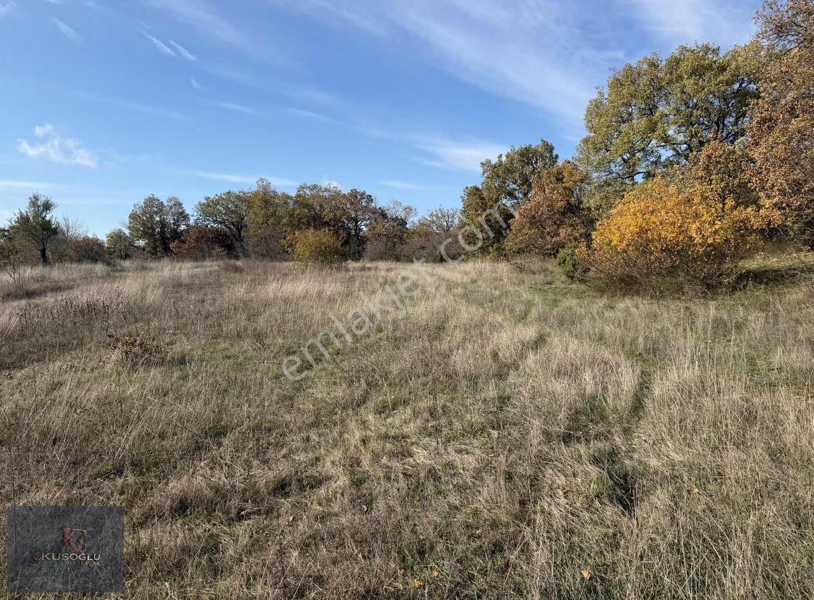 Vize Soğuçak Köyünde Yola Cephe Satılık Tarla - Görsel 7