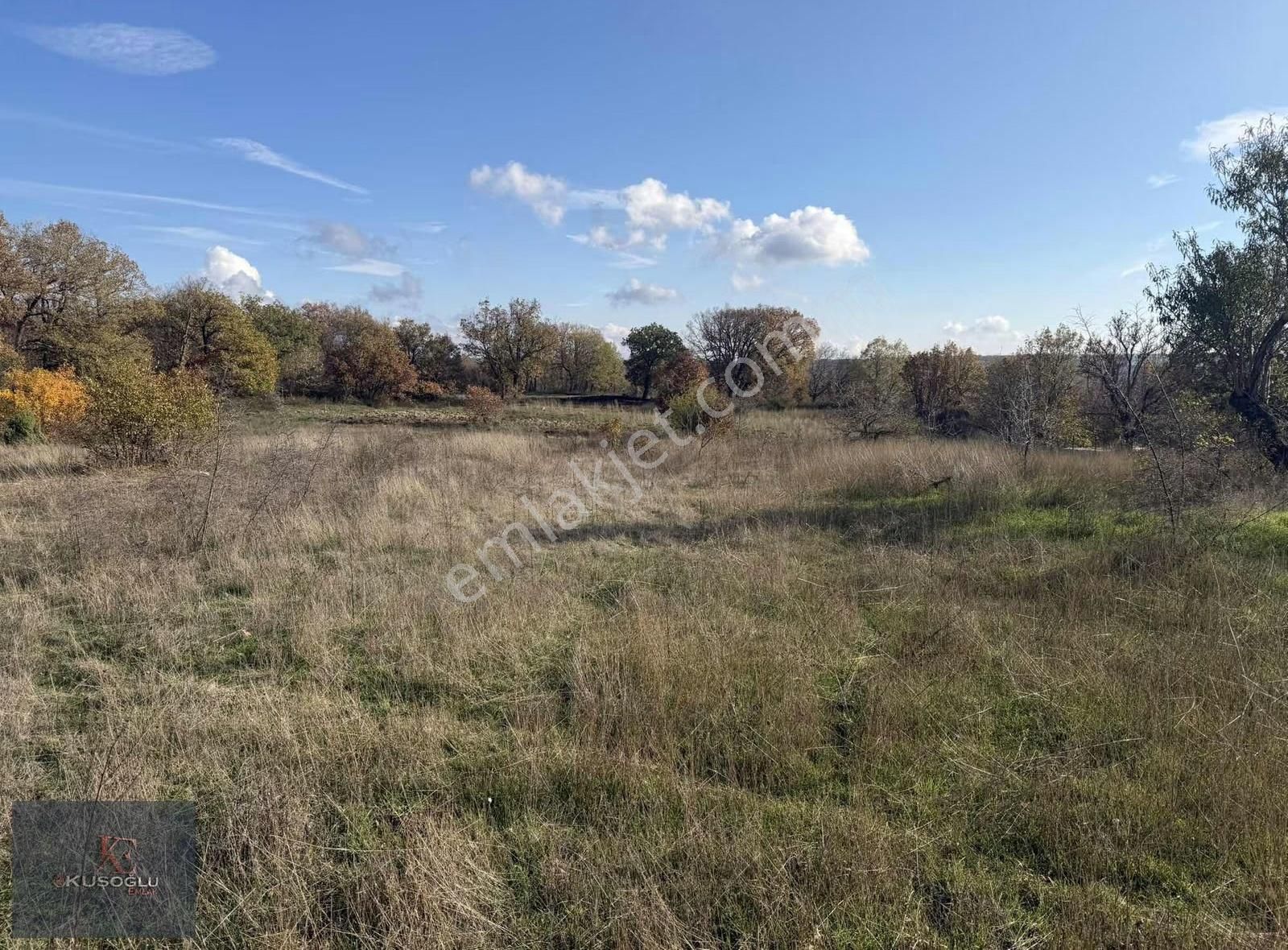 Vize Soğuçak Köyünde Yola Cephe Satılık Tarla - Görsel 4