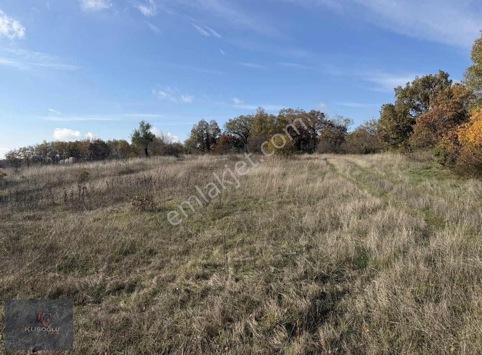 Vize Soğuçak Köyünde Yola Cephe Satılık Tarla - Görsel 16