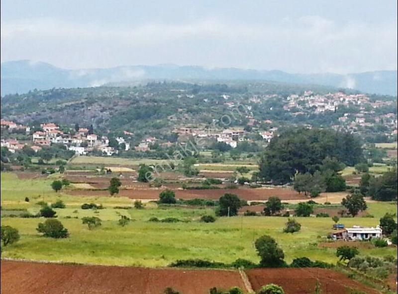 Menteşe Denizova'da 1.5 Dönüm Gelişime Açık Bölgede Satılık Arsa - Görsel 4