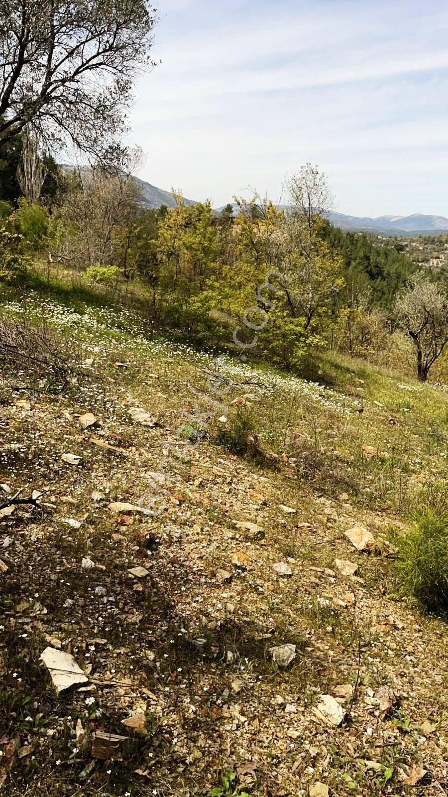 Menteşe Denizova'da 1.5 Dönüm Gelişime Açık Bölgede Satılık Arsa - Görsel 11