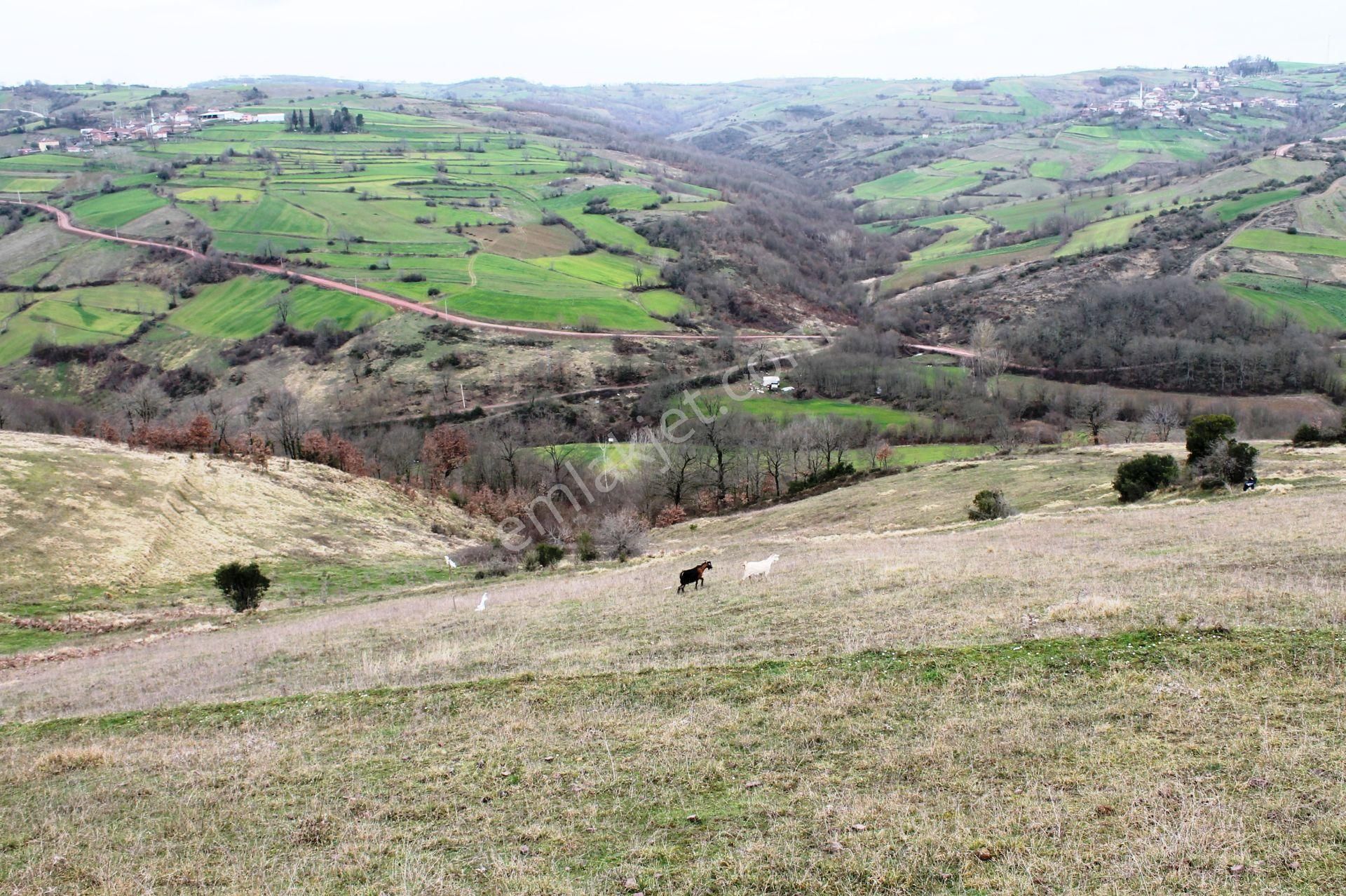 Menteşe Denizova'da 1.5 Dönüm Gelişime Açık Bölgede Satılık Arsa - Görsel 33