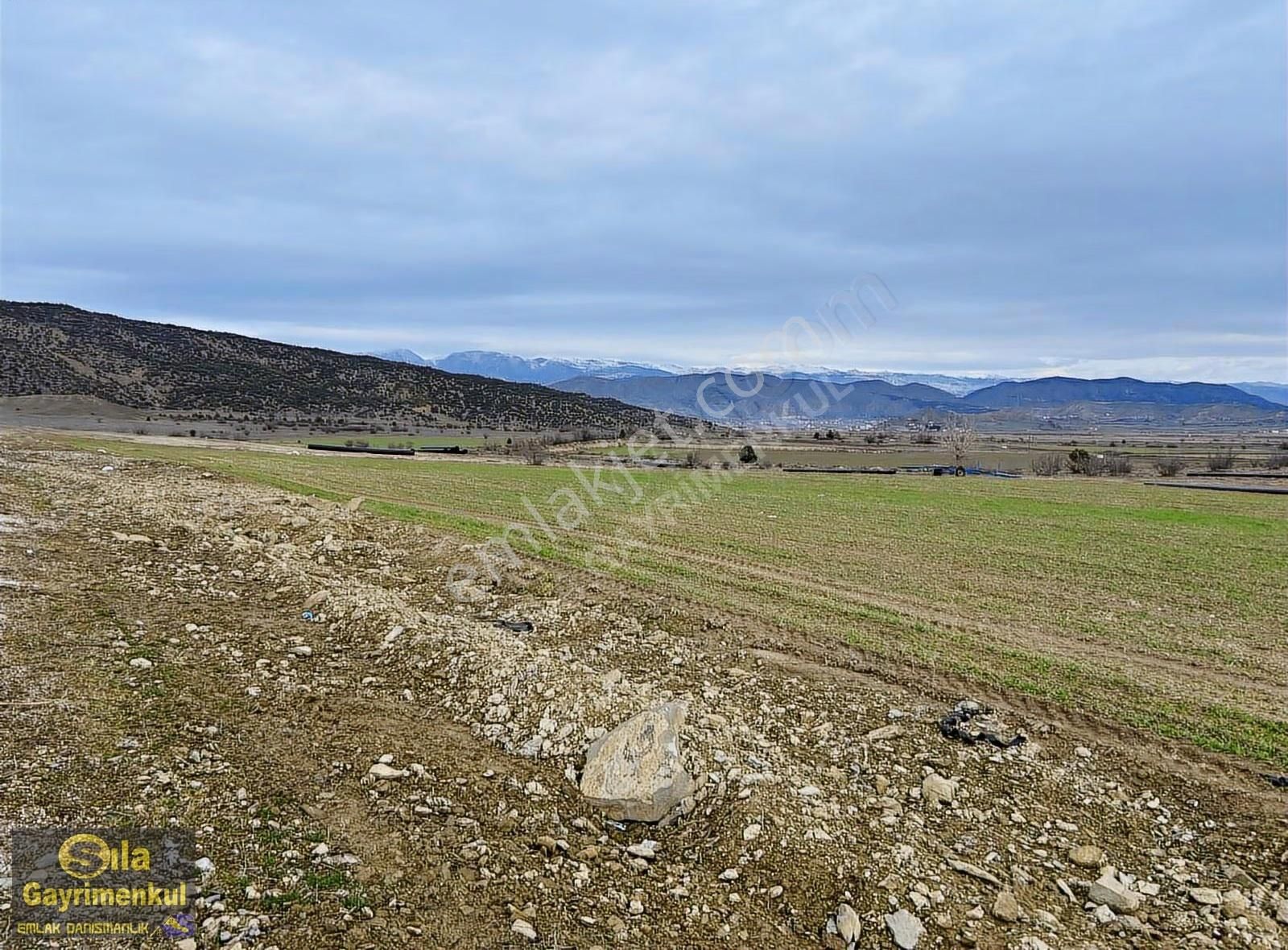 Sıla Gayrimenkulden 10.194m2.dodurga Yoluna Sıfır Konumda Tarla - Görsel 5