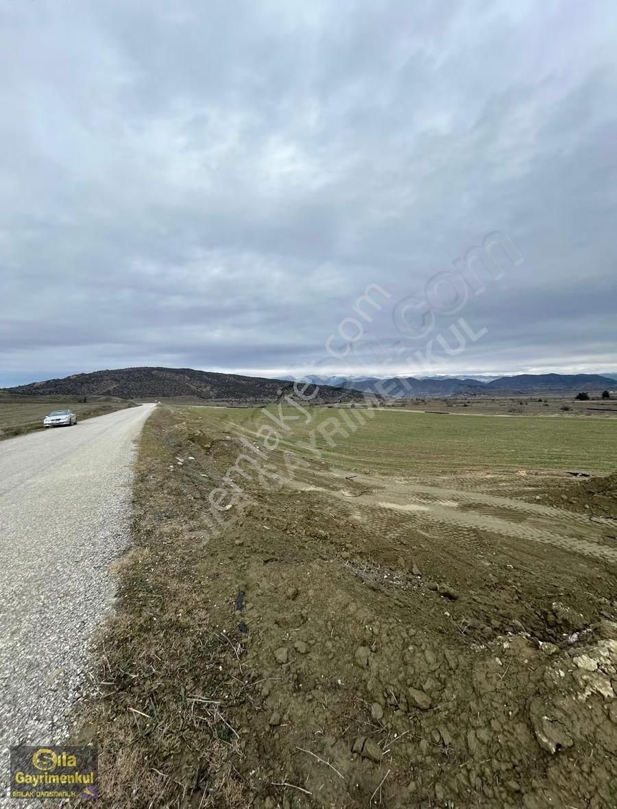 Sıla Gayrimenkulden 10.194m2.dodurga Yoluna Sıfır Konumda Tarla - Görsel 16