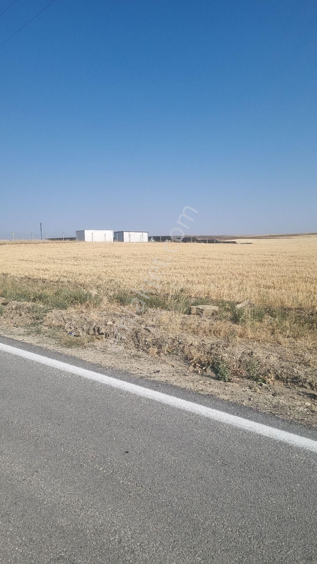 Ankara Bala Koçyayla Mahallesinde 38 Dönüm Asvalt Yola Cephe Tek Tapu Kupon - Görsel 11