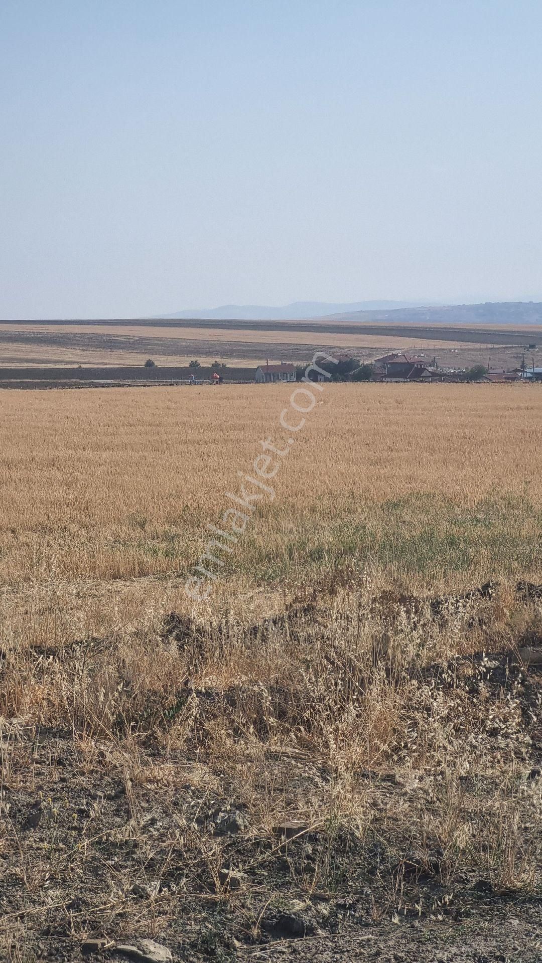 Ankara Bala Koçyayla Mahallesinde 38 Dönüm Asvalt Yola Cephe Tek Tapu Kupon - Görsel 13