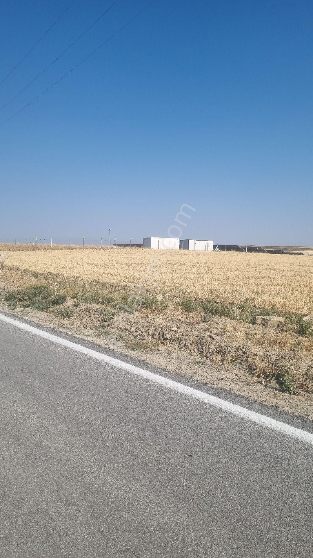 Ankara Bala Koçyayla Mahallesinde 38 Dönüm Asvalt Yola Cephe Tek Tapu Kupon - Görsel 12
