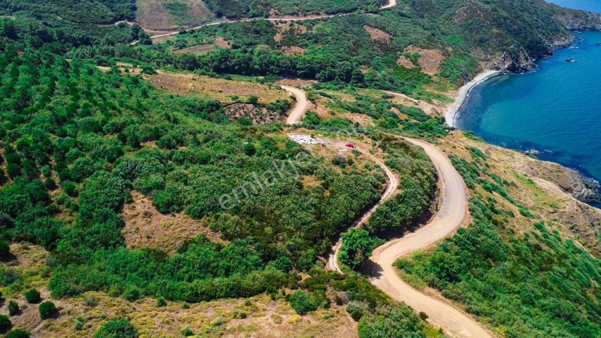 🟨⬛lıon Emlak'tan Bandırma Sahil Yenice Mahallesinde Deniz Manzaralı 3109 M² Satılık Arazi⬛🟨 - Görsel 12