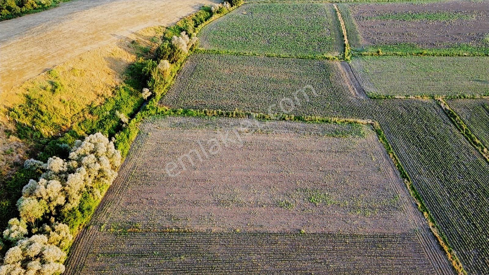 Kuzey Marmara Otoyoluna 1,7 Km Yatırımlık Arsa - Görsel 4