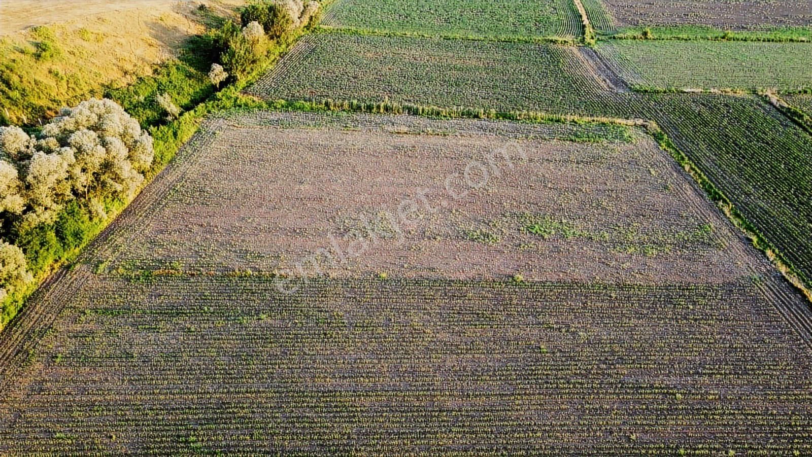 Kuzey Marmara Otoyoluna 1,7 Km Yatırımlık Arsa - Görsel 6