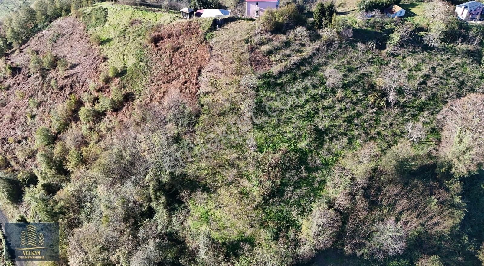 Vyg'den 4726 M² Müstakil Ev Yapımına Uygun Avantajlı Arazi - Görsel 14