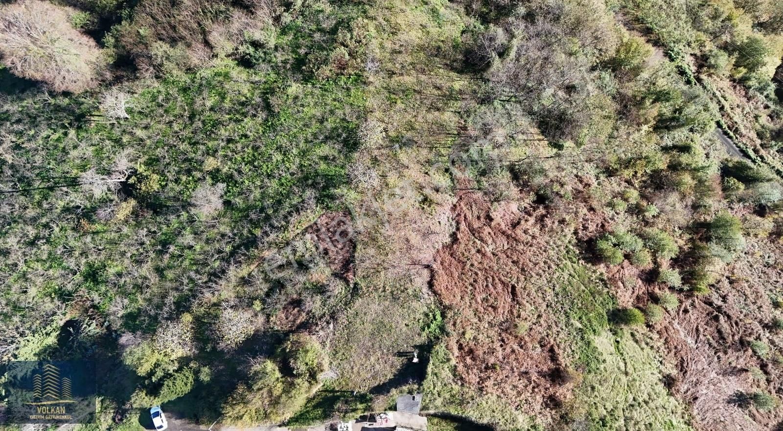 Vyg'den 4726 M² Müstakil Ev Yapımına Uygun Avantajlı Arazi - Görsel 3