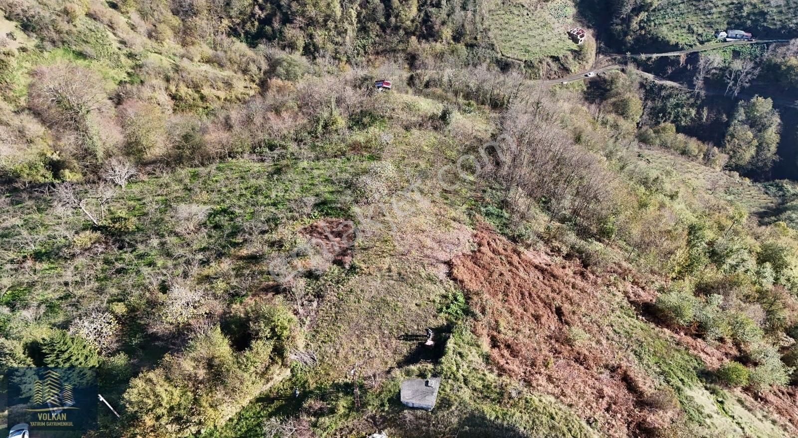 Vyg'den 4726 M² Müstakil Ev Yapımına Uygun Avantajlı Arazi - Görsel 12
