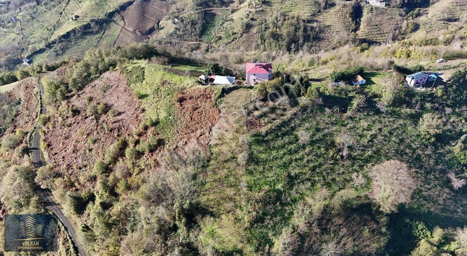 Vyg'den 4726 M² Müstakil Ev Yapımına Uygun Avantajlı Arazi - Görsel 9