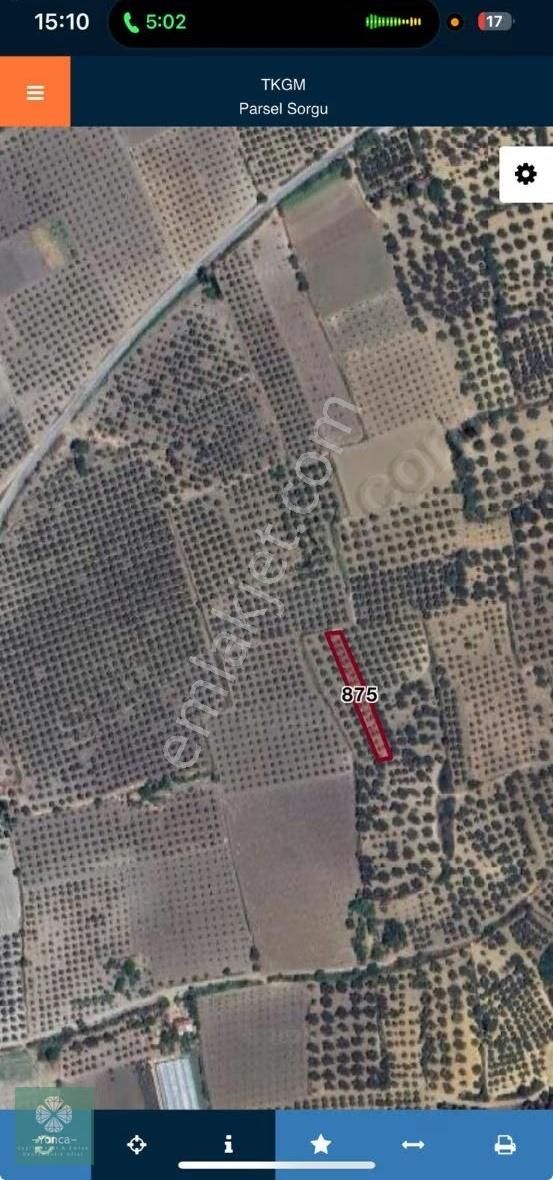 Yonca Gayrimenkulden Kırkağaç Kınık Satılık Zeytinlik - Görsel 5