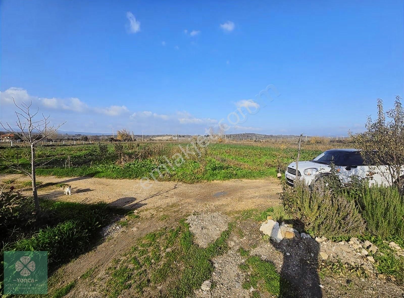 Yonca Gayrimenkulden Turgutalp Satılık Tarla - Görsel 4