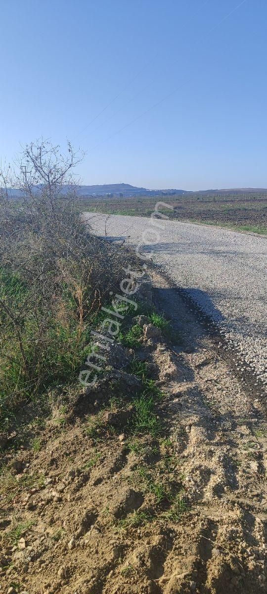 Serbest Bölgeye Yeni Enerji Sahasına Sıfır Çift Tarafı Yol Tarla - Görsel 7