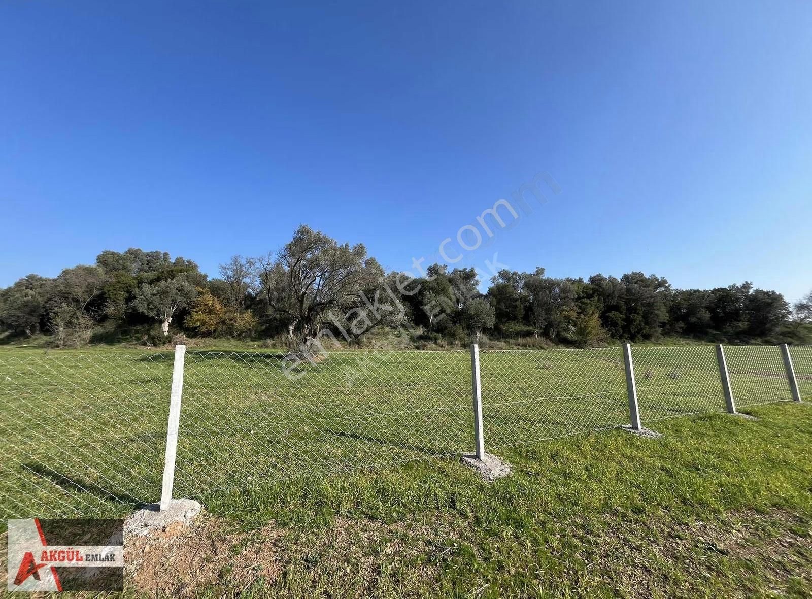 Menderes Görece'de Konumu Güzel Tarla - Görsel 3