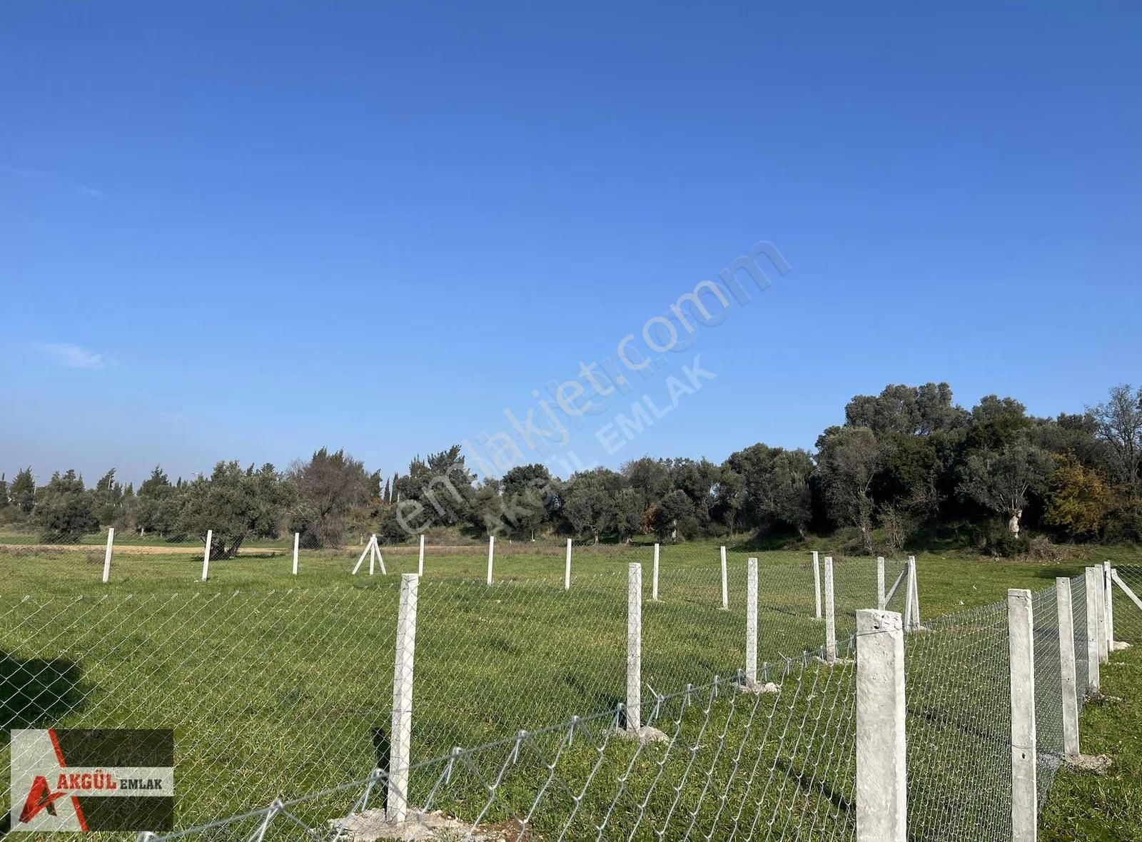 Menderes Görece'de Konumu Güzel Tarla - Görsel 8