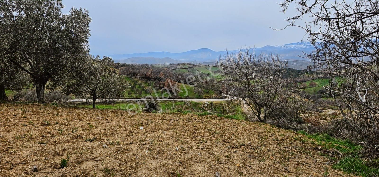 Bergama Sarıcaoğlu'da Doğa Manzaralı 2 Müstakil Konut Arsası - Görsel 10