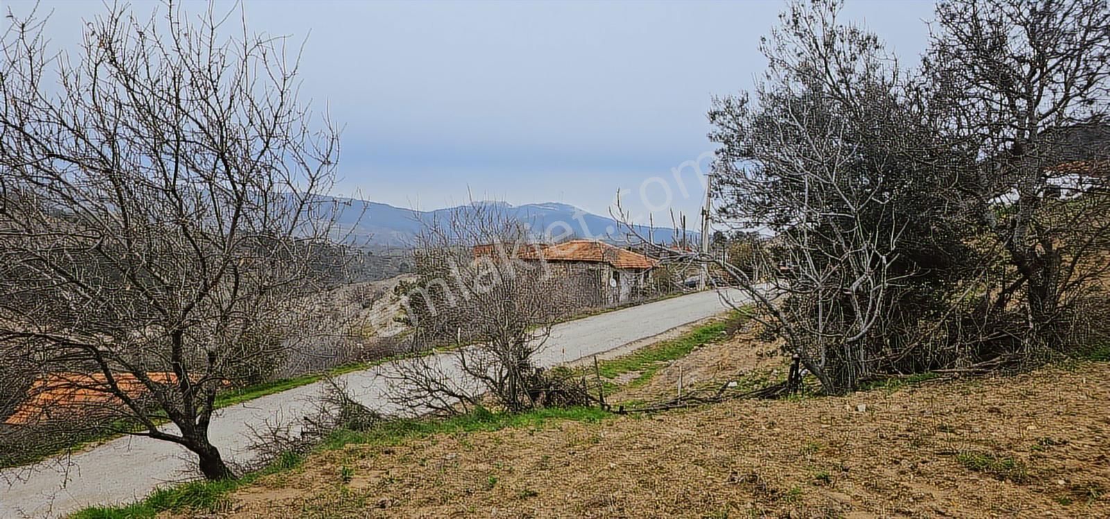 Bergama Sarıcaoğlu'da Doğa Manzaralı 2 Müstakil Konut Arsası - Görsel 11