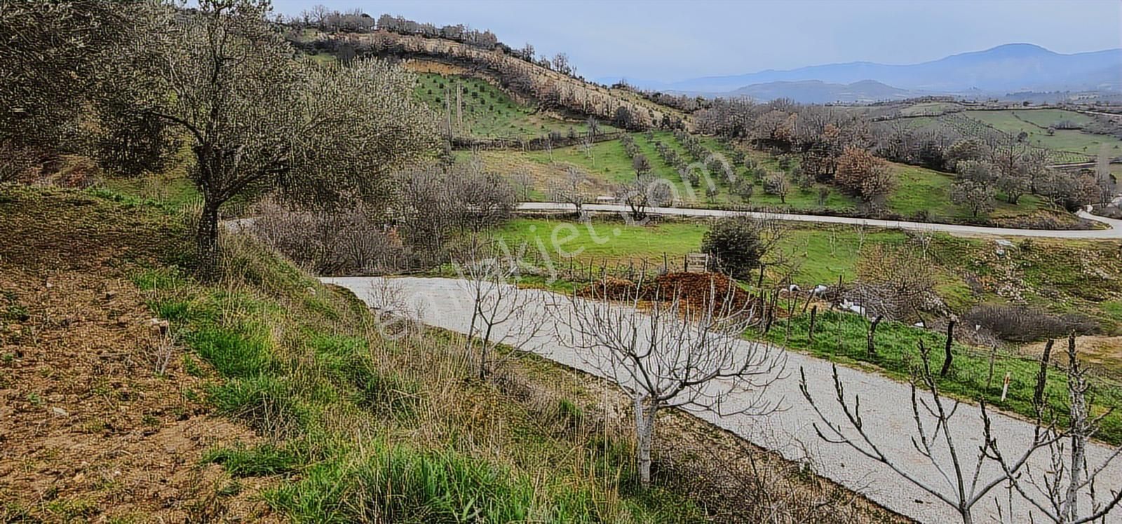 Bergama Sarıcaoğlu'da Doğa Manzaralı 2 Müstakil Konut Arsası - Görsel 29