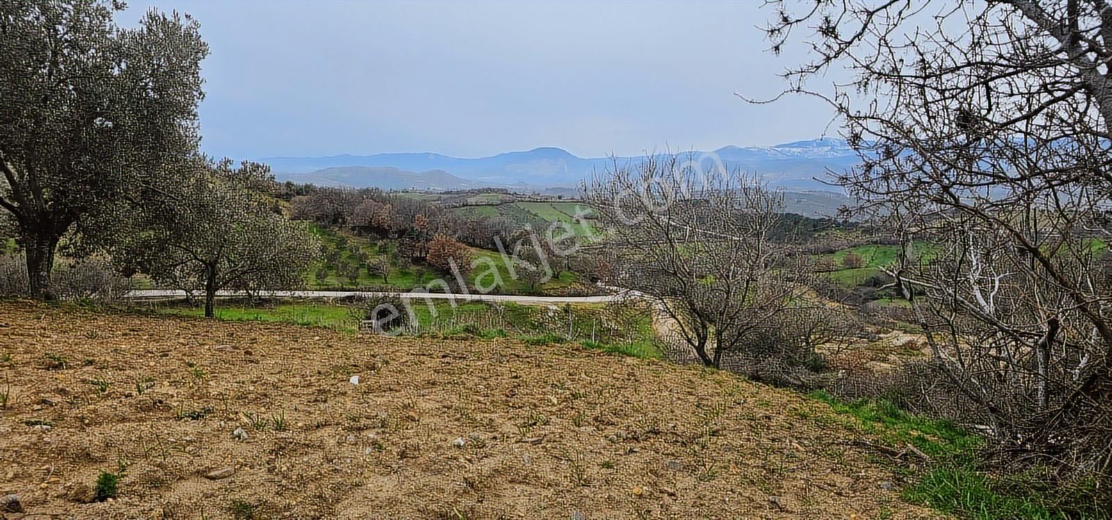 Bergama Sarıcaoğlu'da Doğa Manzaralı 2 Müstakil Konut Arsası - Görsel 18