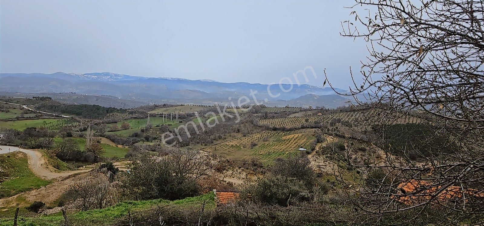 Bergama Sarıcaoğlu'da Doğa Manzaralı 2 Müstakil Konut Arsası - Görsel 28