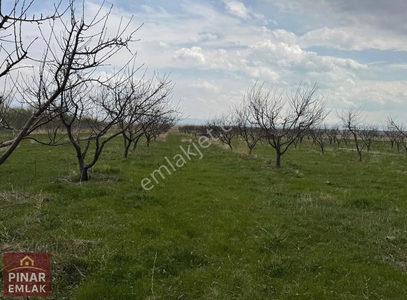 Pınar Emlak'tan Alaköyde Satılık Bahçe - Görsel 2