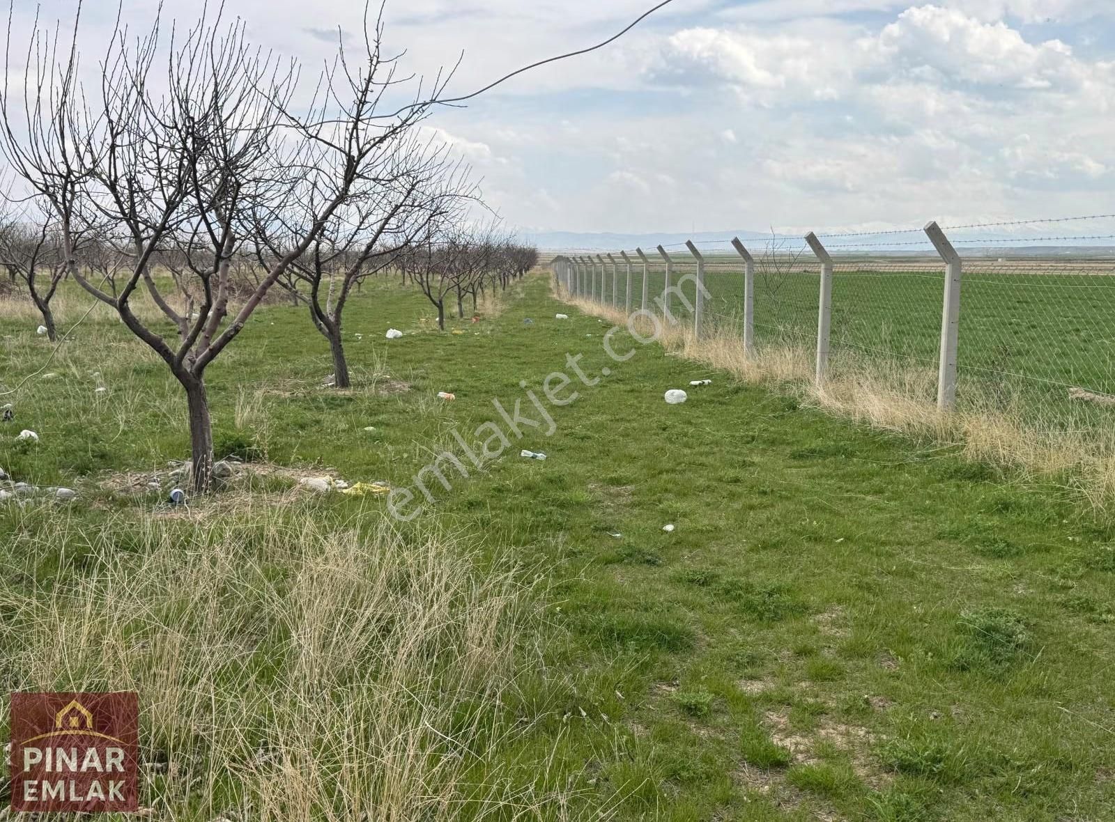 Pınar Emlak'tan Alaköyde Satılık Bahçe - Görsel 3