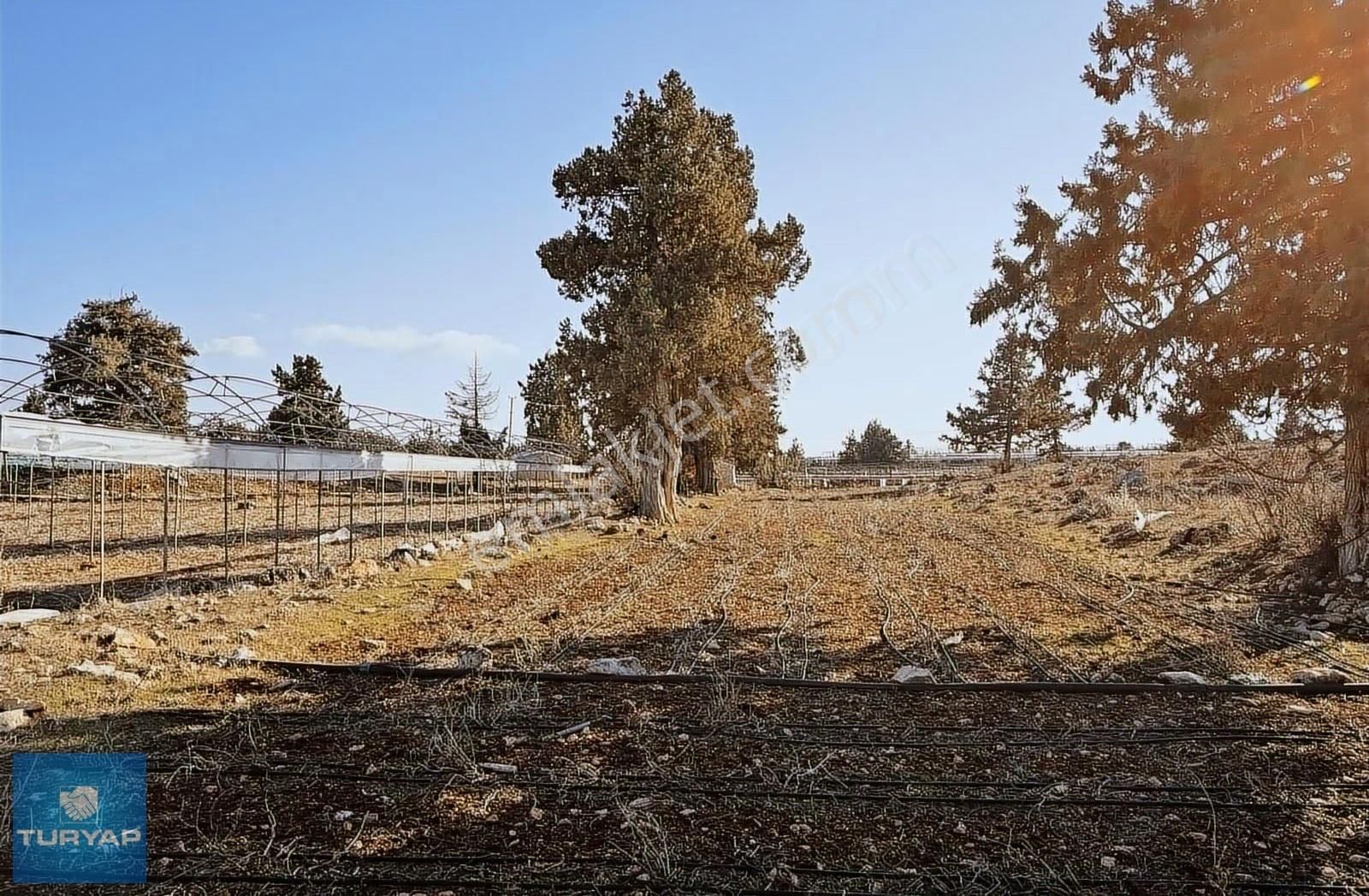 Güzeloluk'ta 9300 M2 Tarıma Elverişli Tarla - Görsel 7