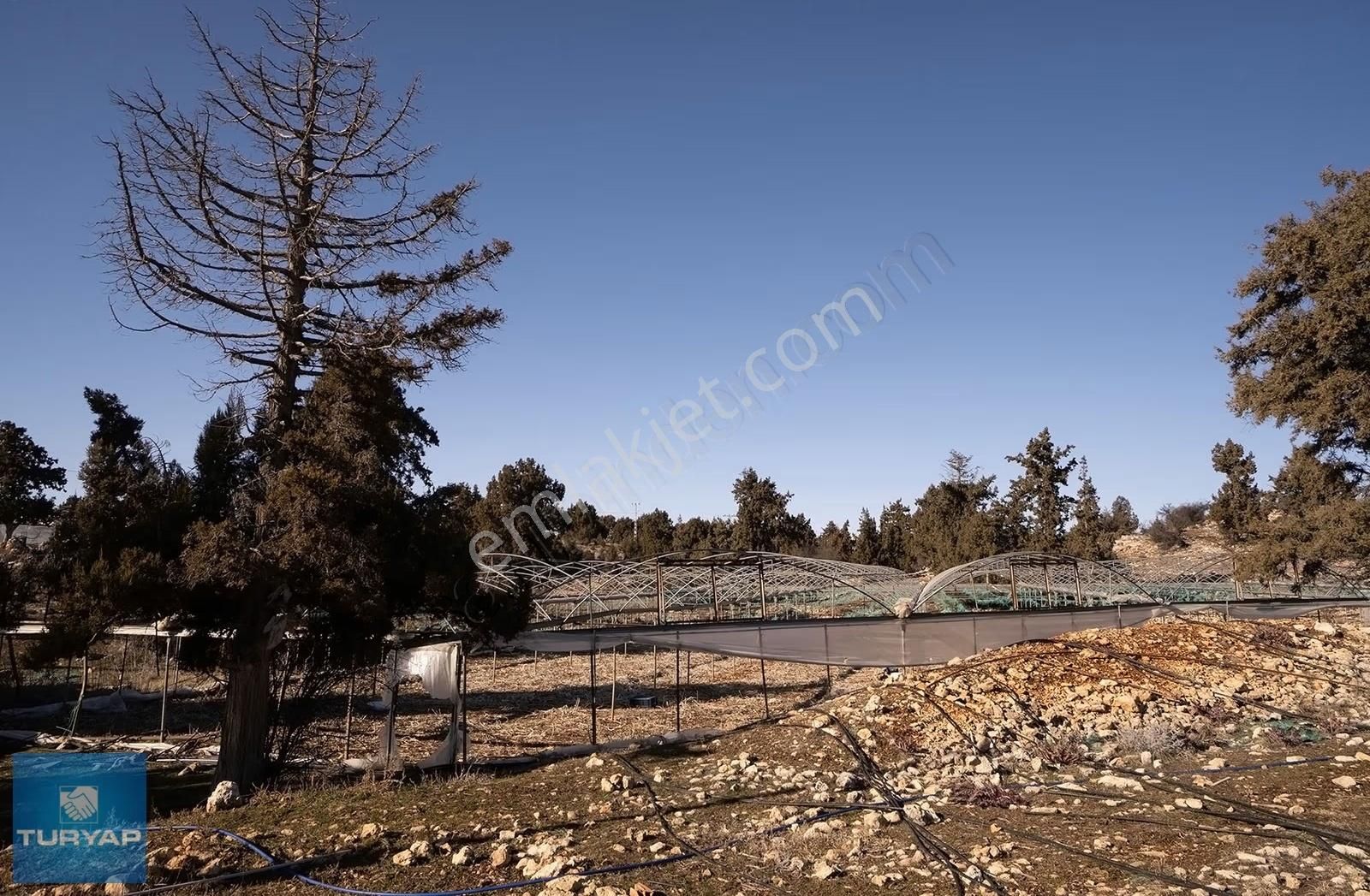 Güzeloluk'ta 9300 M2 Tarıma Elverişli Tarla - Görsel 4