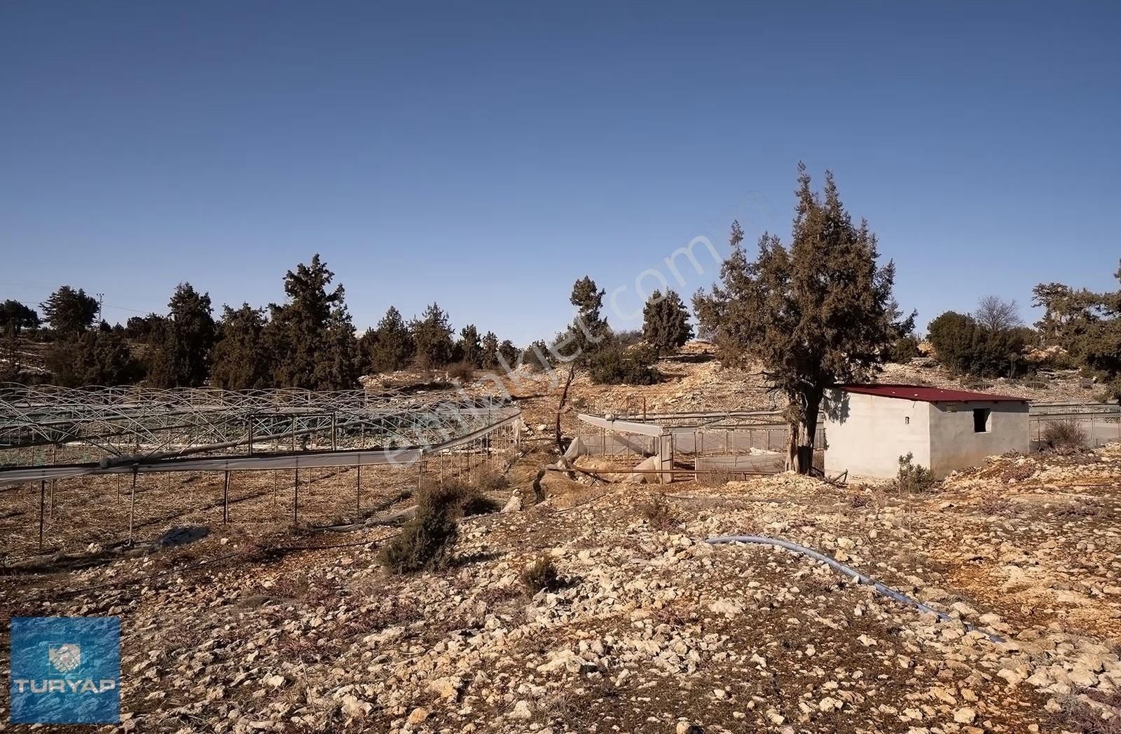 Güzeloluk'ta 9300 M2 Tarıma Elverişli Tarla - Görsel 5