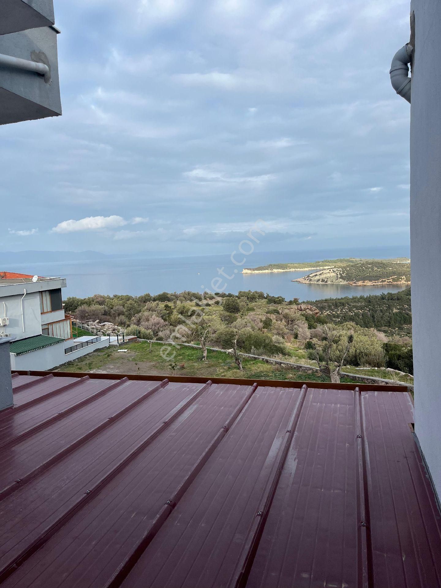 İzmir Dikili Denizköy Çobanalanı Hayıtlım Da - Görsel 2