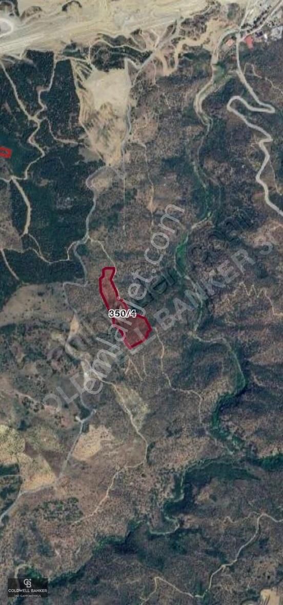 Satılık Aydın Yenipazar Mahallesinde 2 Parsel Zeytinlik - Görsel 10
