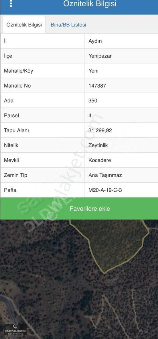 Satılık Aydın Yenipazar Mahallesinde 2 Parsel Zeytinlik - Görsel 11