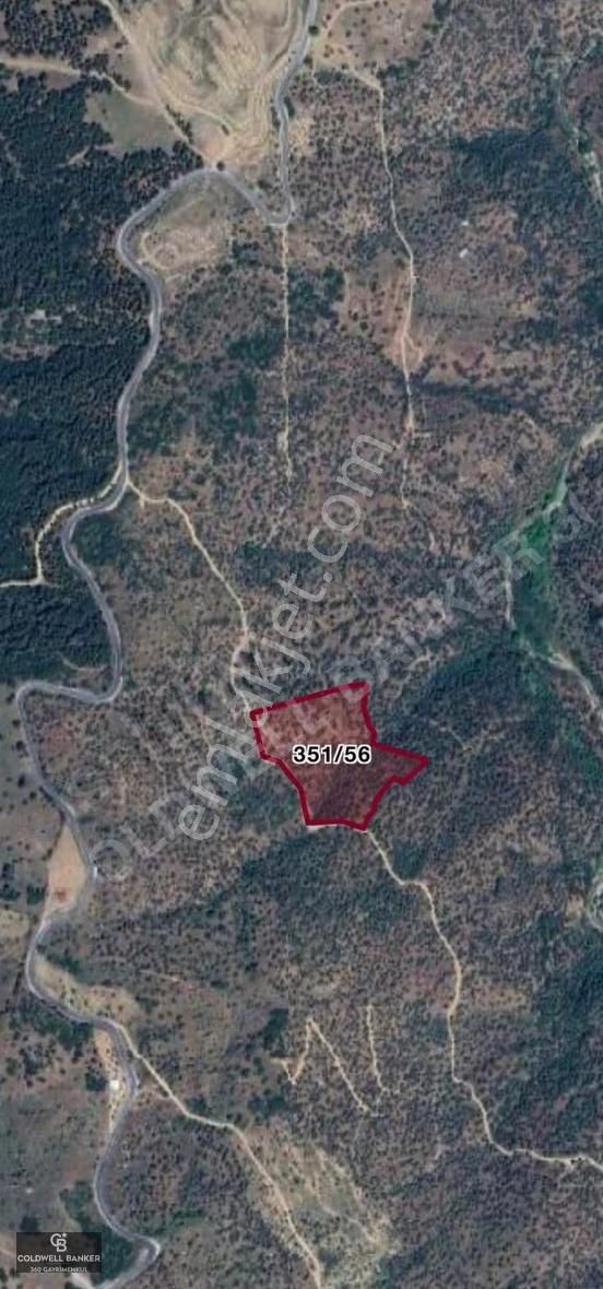 Satılık Aydın Yenipazar Mahallesinde 2 Parsel Zeytinlik - Görsel 3