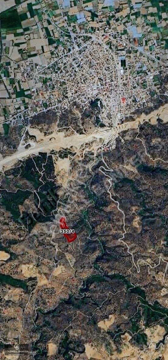 Satılık Aydın Yenipazar Mahallesinde 2 Parsel Zeytinlik - Görsel 5